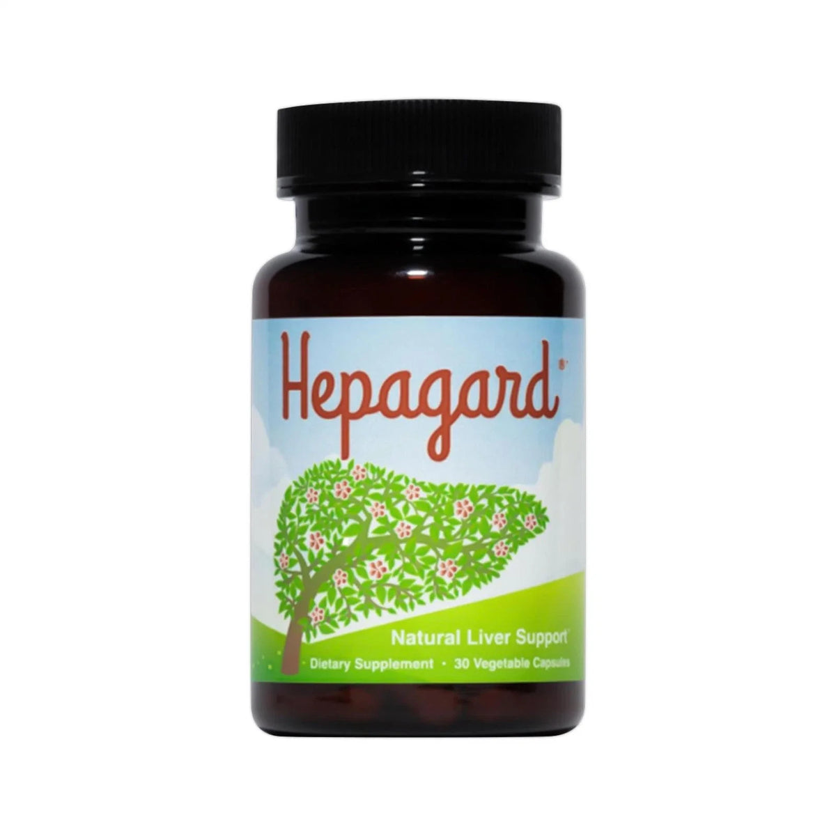 Hepagard Natural Liver Support Supplement with N-Acetyl Cysteine (NAC) 30 Capsule (PACK OF THREE)