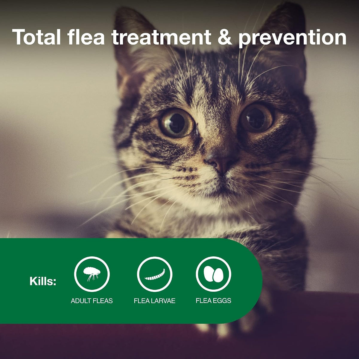 Advantage II Flea Treatment For Small Cats 5-9lbs 6 Doses(PACK OF TWO)