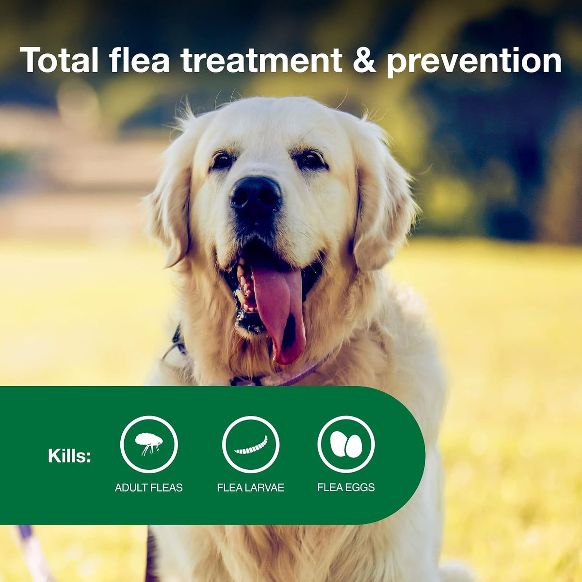 Advantage II Large Dog Topical Flea Treatment & Prevention, 4ct ( PACK OF 2 )