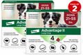 Advantage II Large Dog Topical Flea Treatment & Prevention, 4ct ( PACK OF 2 )